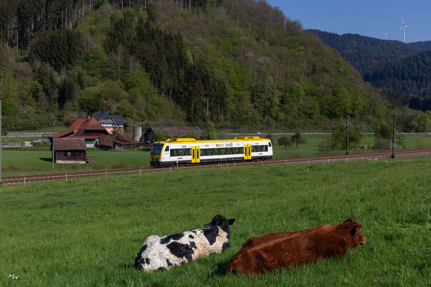 RegioShuttle im Gutachtal