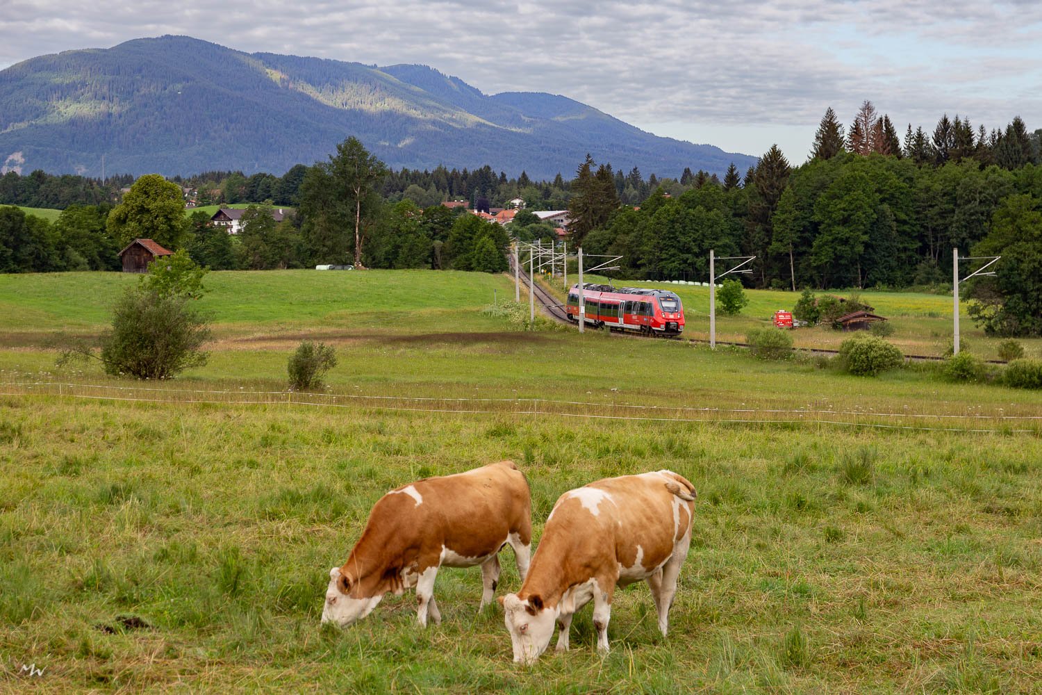 Quer durchs Ammergau