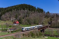 Im Kinzigtal  Ein Motivklassiker an der Kinzigtalbahn Hausach – Freudenstadt ist dieser Blick bei Schenkenzell: Als SWE 87371 (Offenburg - Freudenstadt) haben die SWEG-Triebwagen VT 530 und VT 531 vor wenigen Minuten den württembergischen Teil ihrer Fahrtstrecke erreicht und rollen nun über die Kinzigbrücke und durch den anschließenden 100 Meter langen Schenkenbergtunnel. Die Aufschrift »Ortenau-S-Bahn« ist noch eine Markenbezeichnung der SWEG, verschwindet aber allmählich von den Fahrzeugen (17. April 2022). : 95 80 0650, DWM / WU / Adtranz / Stadler Pankow, SWEG - Südwestdeutsche Eisenbahn, a Deutschland, ao Schenkenzell, eb SWEG VT 530, eb SWEG VT 531, ef - Hersteller, ef 37395 Stadler Pankow (2005), ef 37396 Stadler Pankow (2005), en 95 80 0650 592-8, en 95 80 0650 593-6, es 4880 Eutingen - Schiltach (Württ. Kinzigtalbahn), es 4880 km 49-9, ez - Zugnummer, ez 87371 (SWE) RO-TFS