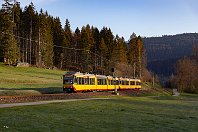 Morgenluft  Bei Schönegründ rauschen die AVG-Triebwagen 902 und 867 am Morgen des 20. April 2022 durch das Murgtal auf Freudenstadt zu. Gerade erst ist der Sonnenschein über die Wiese gekrochen und wird innerhalb weniger Minuten den Nachtfrost vertreiben. : AVG - Albtal-Verkehrs-Gesellschaft mbH, eb AVG 902