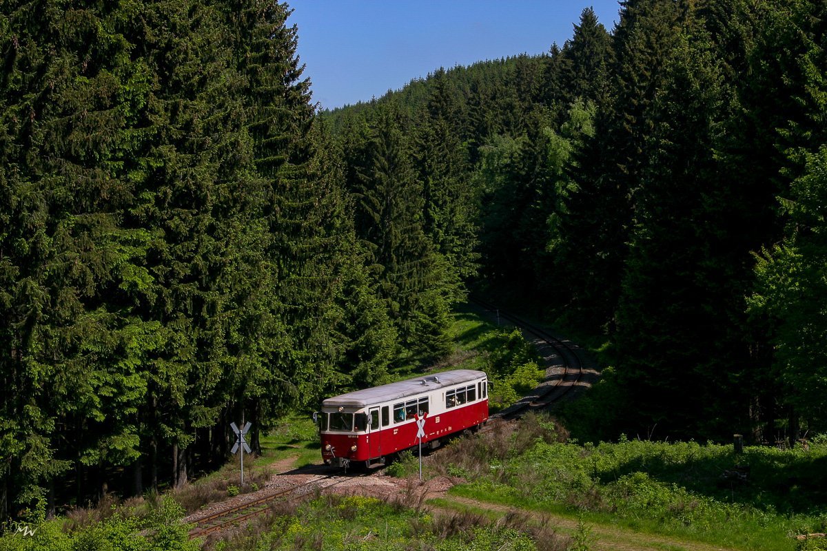 Fischstäbchen und Harzer Roller