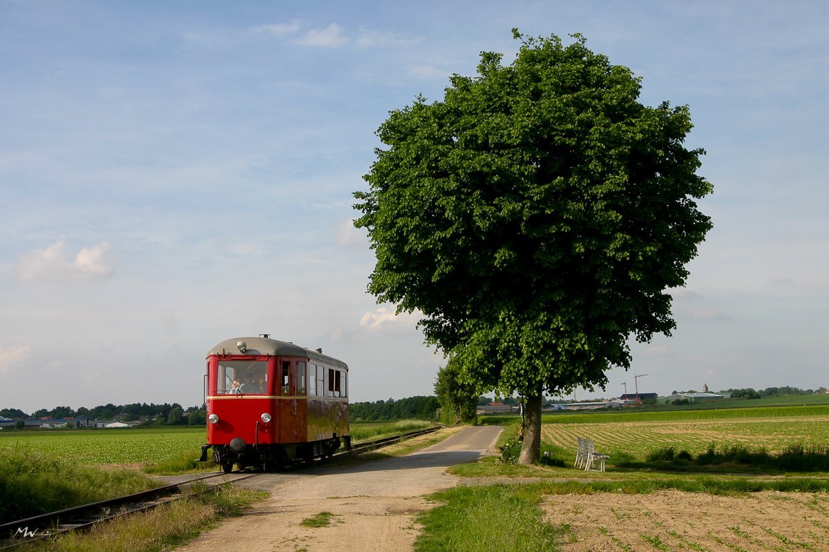 Gelindchen