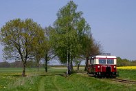 Schweineschnäuzchen  Die in den 1930er-Jahren gebauten Schienenbusse der Waggonfabrik Wismar gehören auch heute noch zu den Klassikern und bieten Nebenbahnidylle pur. Nur eine Handvoll dieser Fahrzeuge hat betriebsfähig bis heute überlebt. Auch die Museumsbahn in Bruchhausen-Vilsen besitzt ein Exemplar. Die beiden Benzin-Fahrmotoren befinden sich bei diesen Triebwagen in den Motorvorbauten an den Wagenenden. Es läuft immer nur der in Fahrtrichtung vordere Motor (1. Mai 2005). : B, D, DEV - Deutscher Eisenbahn-Verein Bru-Vi, DEV T 41, FNr 20202 Wismar, Schmalspur, Wismar, a Aufnahmeort, a Deutschland, ao Bruchhausen-Vilsen-Heiligenberg, e Eisenbahn, eb Eigentümer- / Betreiberbezeichnung, ef Hersteller