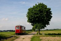 Gelindchen  Noch einmal ein Schmalspurtriebwagen aus dem Hause Wismar, diesmal aber der 1941 gebaute vierachsige Triebwagen 13 der Selfkantbahn im äußersten Westen Deutschlands. Der Triebwagen wurde eigentlich für die Mittelbadische Eisenbahn (MEG) gebaut, die im deutsch-französischen Grenzgebiet rund um Kehl bis 1971 ein Schmalspurnetz unterhielt. Am kleinen Bedarfshaltepunkt „Gelindchen“ beschleunigt Günther Steinhauer den Triebwagen auf seinem Weg nach Gillrath (25. Mai 2008). : FNr 21148 Wismar, G, Gangelt-Birgden Hp Gerlindchen, I, IHS - IG Historischer Schienenverkehr e.V., IHS T 13, Wismar, a Aufnahmeort, a Deutschland, e Eisenbahn, eb Eigentümer- / Betreiberbezeichnung, ef Hersteller