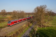 km 31,4  Der fast gleiche Fotostandpunkt wie auf dem vorangegangenen Blick, allerdings zu einer etwas früheren Tages- und späteren Jahreszeit. Seit 2015 sind die Stadler Flirt III-Triebzüge der Baureihe 1428 zwischen Münster und Essen im Nahverkehr tätig. In der DB-roten Variante gefallen sie mir tatsächlich auch am besten. Wir sehen den 1428 505 mit einer weiteren Einheit auf dem Weg nach Essen (27. November 2015). : 4-5-8 D Elektrotriebwagen, 428 / 1428 / 1828 (Stadler Flirt), DB / DRB / DR, H, Str 2200 WAN - MS - OS - HB - HH, a Aufnahmeort, a Deutschland, ao Haltern-Sythen, e Eisenbahn, eb DB 1428 505, eb Eigentümer- / Betreiberbezeichnung, es 2200 km 31-4, es Streckennummer