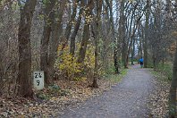 km 24,9  Hinter  Oberhausen-Sterkrade existiert unsere Strecke leider nicht mehr. Zwischen 1875 und 1964 änderte sie hier die Fahrtrichtung und verließ Sterkrade in südwestliche Richtung – zunächst großzügig in der Lage der heutigen Hünxer Straße trassiert, ab 1949 dann etwas weiter südlich und in einem deutlich engeren Bogen. Auf dieser Trasse wie auch den nachfolgenden Kilometern kann man die alte Bahnverbindung auch heute noch mit Rad oder per pedes erwandern. Einige Hektometersteine, wie der bei km 24,9, stehen auch heute noch (25. November 2007). : O, Str 2206 WAN - OB-Sterkrade, a - Aufnahmeort, a Deutschland, ao Oberhausen, ao Oberhausen-Sterkrade, e - Eisenbahn, es - Streckennummer, es 2206 km 24-9