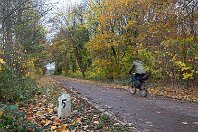 km 27,3  200 Meter weiter westlich: Der Hektormeterstein »5« gehört, wie schon erläutert, zur Strecke 2260. Die Steine »unserer« Strecke 2306 scheinen in diesem Abschnitt nicht mehr erhalten zu sein. Nur wenige Meter hinter uns befand sich die Anschlussstelle »Kübel«. Auf dem Firmengelände sind auch heute noch Gleisreste zu erkennen. Hinter den bunt gefärbten Bäumen in der rechten Bildhälfte ist ein hoher Bahndamm versteckt. Über diesen gewann das Gleis der Verbindu8ngsstrecke Neumühl – Hamborn an Höhe, um in einem großen Bogen kurz vor der Autobahnbrücke im Hintergrund nach Norden abzubiegen.
