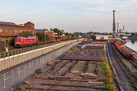 IMG_144966.jpg