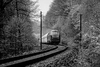km 4,3  Von der Auermühle aus führt ein hübscher Wanderweg beidseitig der Bahn durch das enge und teilweise wildromantische Angertal. Die langen Kalkzüge hört der Spaziergänger oft schon minutenlang pfeifend durch das Wald rumpeln. Hier zieht die 215 020 im damals hochmodernen orientroten Lack einen langen Zug nahe der Kickenau durch den frühlingshaften Wald (13. Mai 1991). : 2, Str 2404 Ratingen - Wülfrath, a - Aufnahmeort, a Deutschland, ao Ratingen, eb DB 215 020-9, es 2404 km 4-3
