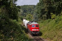 km 10,1  Hinter Hofmühle wird das Angertal etwas offener. Der Motivklassiker ist dabei zweifellos die Ostausfahrt aus Hofermühle mit Bahnübergang, Bachbrücke und Feldwegbrücke, wenngleich das Motiv in den vergangenen Jahren vieles an Reiz verloren hat. Am 13. August 2016 bespannte die 232 669-2 den GM 47745 aus dem niederländischen Beverwijk (bei IJmuiden), den zuvor die 189 064 nach Duisburg-Wedau gebracht hatte. : 2, 232 (DR 132), 92 80 1232, LTS, Str 2404 Ratingen - Wülfrath, a - Aufnahmeort, a Deutschland, ao Heiligenhaus-Hofermühle, eb DB 232 669-2, ef - Hersteller, ef 0949 LTS (1981), en 92 80 1232 669-2, es 2404 km 10-0, ez - Zugnummer, ez GM 47745 XNBH-ERHD
