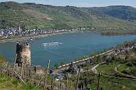 km 140,7  Rheindiebach – Unterhalb der Burg Fürstenberg weitet sich das Tal etwas, und der Blick fällt auf die Rheininsel »Großer Lorcher Werth« (rechts im Bild). Auf der gegenüberliegenden Rheinseite ist Lorch zu sehen. Die ecco-Rail-Lok 193 212 hat sich hier mit einem Getreide-Ganzzug aus Schüttgutwagen auf die linke Rheinseite verirrt. Normalerweise befahren Güterzüge eher die rechte Rheinseite (19. April 2015). : 2, 91 80 6193, Str 2630 K - KO - Bingen Hbf "Linke Rheinstr", a - Aufnahmeort, a Deutschland, ao Oberdiebach-Rheindiebach, ao Oberdiebach-Rheindiebach Ruine Fürstenberg, eb ecco-rail 193 212, ecco rail GmbH, ef 21912 Siemens Mü (2014), en 91 80 6193 212, es 2630 km 140-7