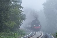 km 50,0  Kurz vor dem Bahnübergang der Bundesstraße 252 stampft die 78 468 der Eisenbahntradition Lengerich durch den dichten Morgennebel entlang der gerade erst wiedereröffneten Nebenstrecke. Ungefähr an dieser Stelle verlässt der aus Frankenberg kommende Zug das Ittertal und folgt nun dem Verlauf des Kuhbachs (12. September 2015). : Str 2972 Warburg - Korbach - Marburg, a - Aufnahmeort, a Deutschland, ao Vöhl, ao Vöhl-Dorfitter, eb DRB / DB 78 468 / 078 468-6, eb EiTrad 78 468, ef 20166 Henschel (1923), en 90 80 0078 468-0, es 2972 km 50-1