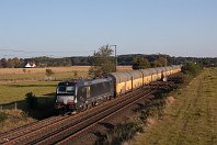 km 174,6  Sieben Meter höher sehen wir einen weiteren geschlossenen ARS-Autotransportzug, diesmal gezogen von der noch nagelneuen MRCE-Dispolok X4 E-855 (oder auch 193 855) des Siemens-Typs »Vectron«, die in München-Allach gebaut wurde. Die Lok ist seit Mai 2014 von PCT angemietet (4. Oktober 2014). : 91 80 6193, MRCE Dispolok GmbH, PCT, Str 1740 Wunstorf - HB - BHV, a - Aufnahmeort, a Deutschland, ao Loxstedt, ao Loxstedt-Düring, eb MRCE X4E-855, eb PCT X4 E-855, ef 21892 Siemens Mü, en 91 80 6193 855, es 1740 km 174-7