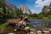 Yosemite  Es ist im kalifornischen Yosemite Valley fast nicht möglich, eine Ecke zu finden, die nicht mit den Worten »traumhaft schön« beschrieben werden kann. Das Ufer des Merced River bietet zahlreiche Motive mit dem El Capitan, dem markanten Felsvoprsprung im Bild. Dessen Flanken reichen teilweise bis zu 1000 Meter aus dem Flusstal auf (29. Juni 2009).
