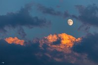 IMG 126431  Kräftiger Wind und zahlreiche aufgerissene Wolkenfelder ermöglichten am Abend des 30. Juni 2012 diese Mondszene, aufgenommen bei Emsdetten – auch wenn der Aufnahmeort hier ziemlich egal sein dürfte. : Himmelskörper, Mond, Natur, a - Aufnahmeort, a Deutschland, ao Emsbüren