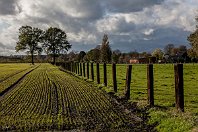 Waltroper Wetter  Ruhrgebiet! Während ich allerdings eher im rheinischen Westteil zuhause bin, befinden wir uns hier im westfälischen Waltrop. Bevor gleich der nächste Regenguss die herbstlichen Wiesen wässert, zeigt sich noch einmal die Sonne und schickt ein paar schwache Strahlen über die Felder (3. November 2013). : a - Aufnahmeort, a Deutschland, ao Waltrop