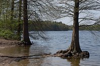 Sechs Seen  Die Sechs-Seen-Platte im Duisburger Süden bietet ein umfangreiches Wanderwegenetz in einer Region, wo viele gar nicht so viel Grün vermuten würden. Die sechs Seen inmitten eines umfangreichen Waldgebietes wurden als Kiesgruben über viele Jahrzehnte hinweg ausgehoben. Dieses Motiv bot sich am 17. April 2018 am Ufer des Wolfssees. : a - Aufnahmeort, a Deutschland