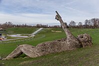 045<br>Joures