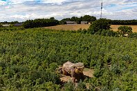 MWD d001288 : Troll 153 - Halle Haltben